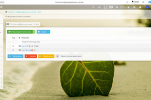 Наполнение магазина olnisa.ru