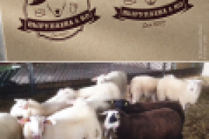 Работа 3082996