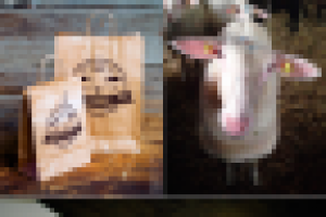 Работа 3078928