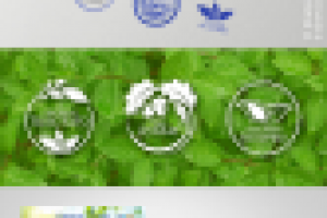 Работа 2785947