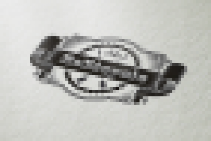 Работа 2595025