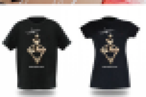 Работа 2977470