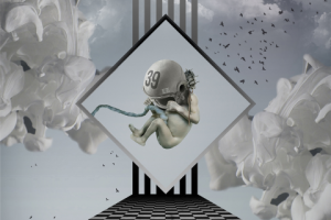 Работа 3204955