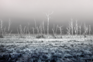 Работа 1626425