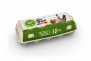 Работа 1596606