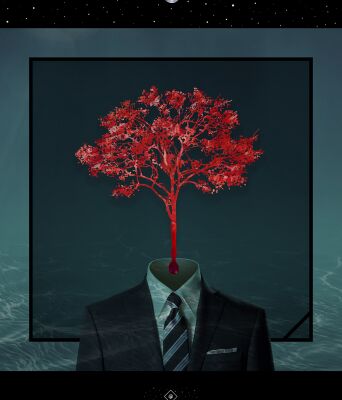 img3204949.png