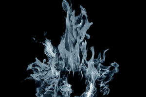 Работа 3204925