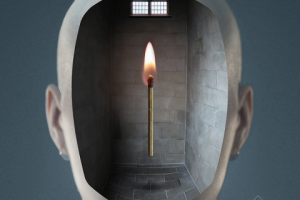 Работа 3204915