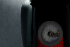 Работа 1596614