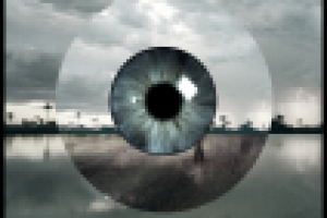 Работа 1313659