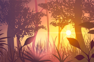 векторный фон закат в лесу