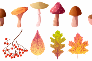 векторный набор осень