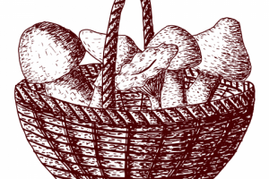 векторный рисунок корзина с грибами