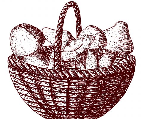 img4398866.png
