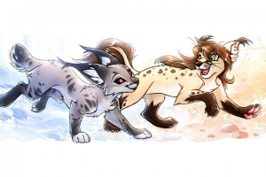 Снежная пустыня. Шапка для вк