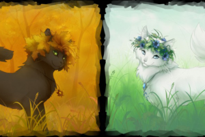 Кошки-воительницы