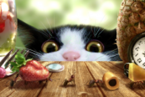 На конкурс "One Cat, One Fruit, One Clock". Микромир