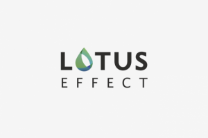 Lotus Effect