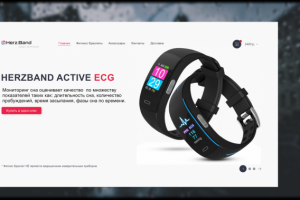 HerzBand