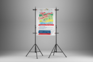 Плакат для ТРЦ «Аэрохолл», формат А2