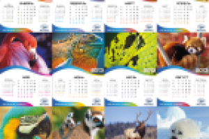 Дизайн страниц настольного календаря