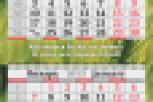 Работа 1390818