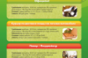 Работа 1536293