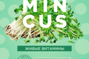 Работа 3929079