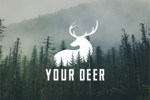 Работа 3723524