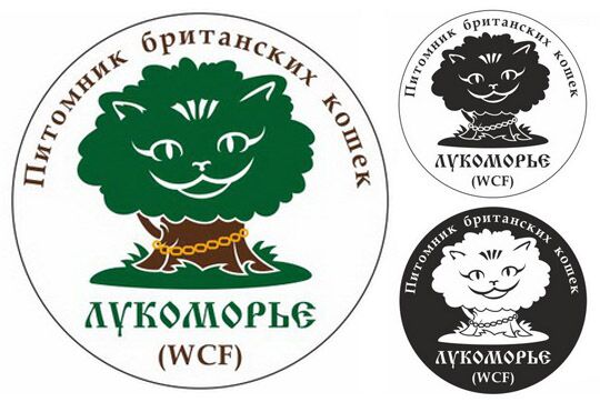 img3512339.png