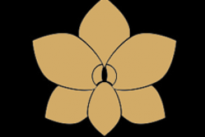 Название магазина цветов