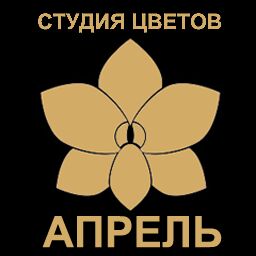 img3746322.png
