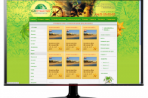 сайт туристического агентства http://park-travel.ru/