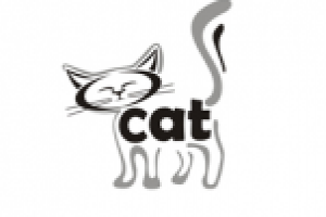 Cat02