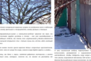 Весна: большой взрыв.