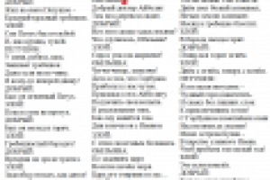 Добрый и Злой рассказчик про символ года-2017.