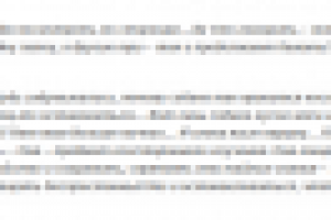 Философия кости (собачий этюд).