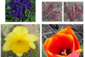 Последнее апреля...