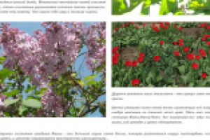 Весна: большой взрыв.