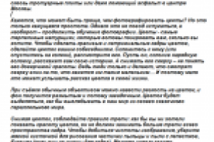 Пример текста для наполнения сайта фотокурсов.