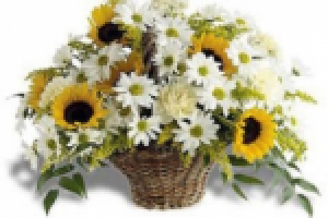 Описания для цветочного магазина (в легендах).