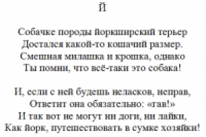 Весёлая азбука. "Йоркширский терьер."