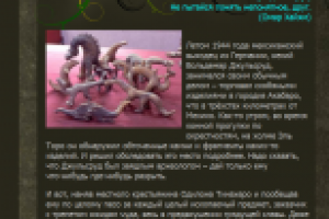 Загадки истории: ЭВЕРЕТТИКА ПЕРЕКРЁСТКА МИРОВ