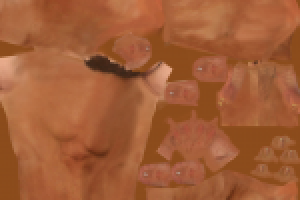 Текстура тела муж. персонажа для игры Тайский бокс (2048*2048)