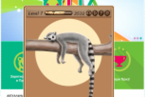 Спящий лемур для экрана Пауза