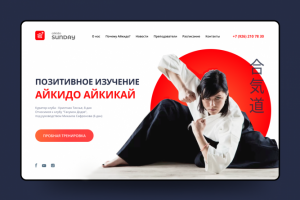 Концепт главного экрана. Студия айкидо