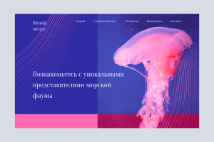 Музей медуз