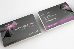 Работа 3150145