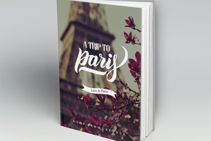 Работа 3150137