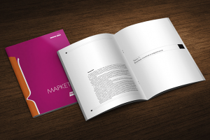 Учебное пособие по маркетингу.